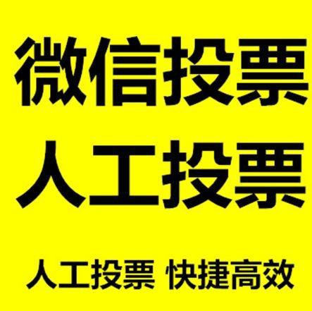 连云港市投票活动拉票能被查出来吗？如何操作能不被发现？